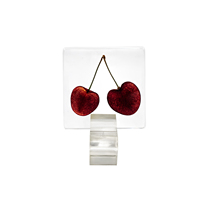 DIY handgemaakte levensechte handgeschilderde harsvorm dierenvorm fruit specimen met gedroogde bloemen hars souvenir cadeau huisdecoratie