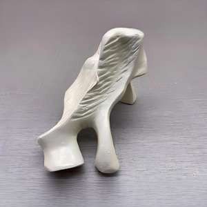 Modelo de Hueso Palatino Humano - Herramienta Educativa Maxilofacial - Product Image 5