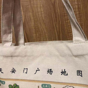 Sac fourre-tout en toile de coton écologique de taille moyenne, réutilisable avec fermeture à glissière pour la plage - Product Image 6