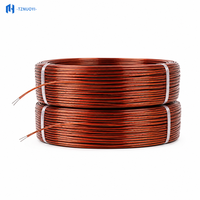 Câble de thermocouple KX blindé haute précision à 2 conducteurs, isolation Kapton IP65, capteur de température pour usage industriel