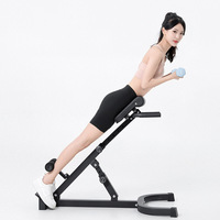 Chaise romaine multifonctionnelle en métal Commercial et domestique Pliable Taille Hip Trainer Goat Tips Bodybuilding Fitness Equipment