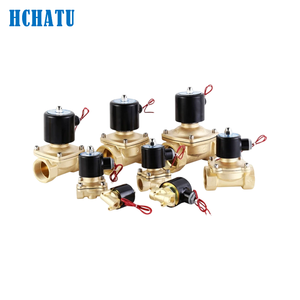Valvola Solenoide Elettrica in Ottone Serie 2W a 2 Vie per Alta Temperatura, 1/4in-2in, Normalmente Chiusa, per DC12V 24V AC110V 220V - Product Image 5