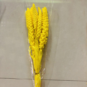 Lot de 10 tiges naturelles séchées au soleil de <span class=keywords><strong>millet</strong></span>, d'épis de blé et de sorgho, matériel floral séché pour bouquets faits main - Product Image 6