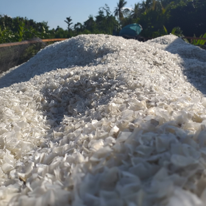 PRODUIT CHAUD DU VIETNAM ÉCHELLE DE POISSON EN VRAC AVEC BON PRIX - Product Image 1