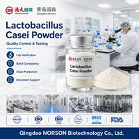 Complément alimentaire 10B Lactobacillus Buchneri en poudre lyophilisée de qualité alimentaire, approvisionnement en vrac, OEM
