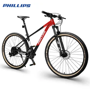 PHILLIP Hot Sale Anpassbares 29-Zoll-Bikecycle 24-Gang-Aluminiumlegierung MTB Bicicleta MTB Mountainbike