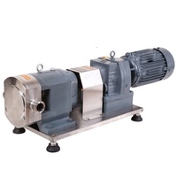 Petite pompe rotative à lobes pour le transfert de liquides à haute viscosité, chocolat, confiture, aliments, vin, mélasse, qualité alimentaire