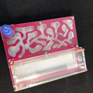 Nido de <span class=keywords><strong>colonia</strong></span> de hormigas acrílico de color plástico de vidrio cuadrado al por mayor para hormigas vivas - Product Image 4