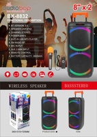 Altavoz Bluetooth con Asa Telescópica, Altavoz con Doble Woofer de 8 Pulgadas, Batería Recargable, USB, TF, FM, TWS, Micrófono Inalámbrico Individual