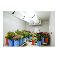 Soluciones de Cámara Frigorífica para la Conservación de Flores Frescas, Soluciones Avanzadas de Almacenamiento en Frío para Flores Frescas y Productos Florales