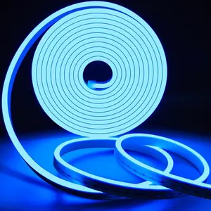 Gm Mjh1094 16.4ft/5m Neonlichtst reifen 12V Silikon LED Neonseil Licht Wasserdicht Flexible LED Neonlichter für Schlafzimmer drinnen