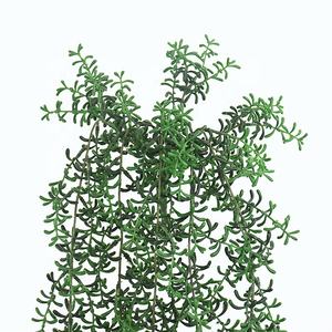 Guirnalda de Perlas Artificiales Comerciales de 90 cm, Arbusto Colgante de <span class=keywords><strong>Senecio</strong></span> Premium para Decoración Interior y Exterior de Lujo - Product Image 4