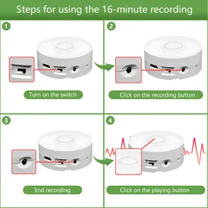 高品質のラウンド充電式プログラマブルレコーダーと再生セットオールインワンレコーディングボックスは、ぬいぐるみに使用できます