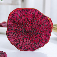 Premium Gedroogde Goederen: Drakenfruit Gedroogd Fruit, Gedroogd Fruit Snacks