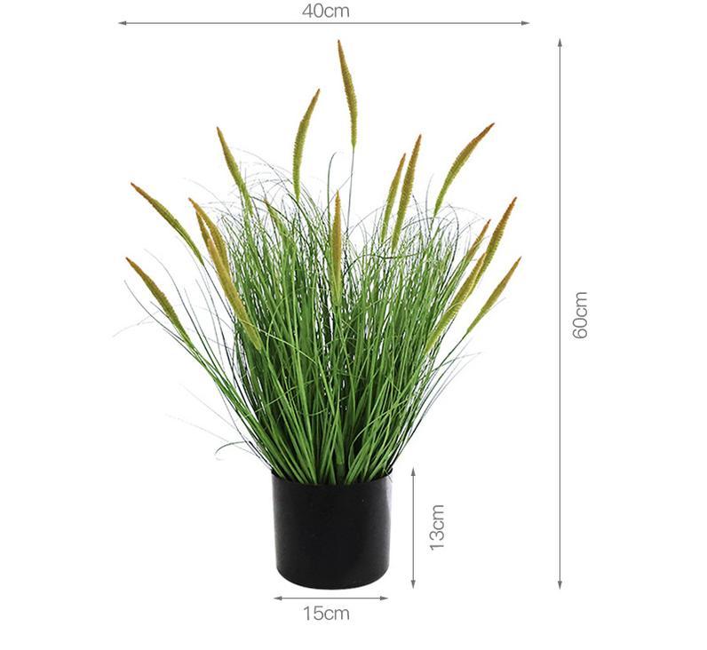 Plante en pot de roseau de lys de 60 cm