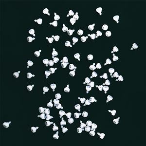 Filtres uniquement pour <span class=keywords><strong>appareil</strong></span> <span class=keywords><strong>auditif</strong></span> HearClear CeruStop Protège-cire MiniR ProWax MiniFit Ceruguard pour CeruShield Empêche le cérumen de cérumen - Product Image 2