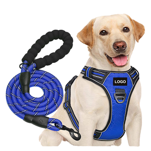 Conjunto de Correa y Arnés de Lujo para Perro, de Poliéster Sólido, con Logotipo de Marca Personalizado, Arnés Tipo Chaleco Antitirones para Perros Medianos/Grandes - Product Image 1