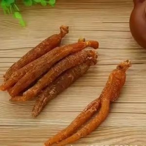 Высококачественный корейский красный порошок женьшеня, порошок экстракта корня красного женьшеня - Product Image 2