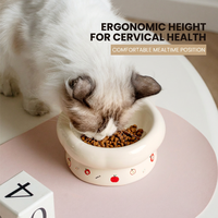 Gamelle surélevée en céramique pour animaux de compagnie, antidérapante, pour chat et chien, avec inclinaison ergonomique, six pétales, étanche IPX5
