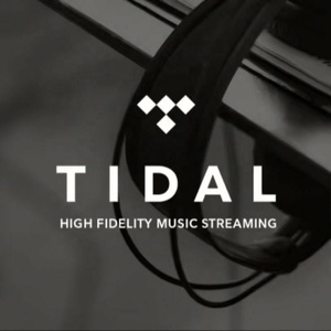 บัญชีสมาชิก Tidal Premium Music HiFi Plus แบบ 12 เดือน มีสินค้าพร้อมส่ง - Product Image 2