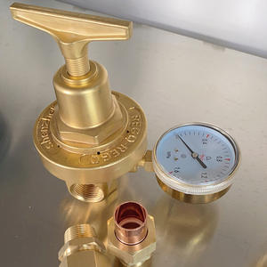 Regolatore di Gas in Ottone Resistente per Bombole, Tipo a Diaframma, Struttura Monostadio con Valvola di Sicurezza Integrata per GPL e Propano - Product Image 2