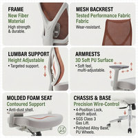 Silla de oficina ergonómica cómoda de malla con características ergonómicas, silla de oficina de malla ergonómica, muestra a granel para oficina