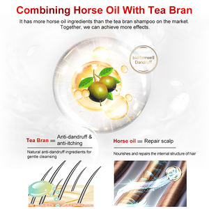 Großhandel Private Label Sulfatfreies Shampoo Natürliches Bio Haar Anti-Schuppen Feuchtigkeitsshampoo - Product Image 4