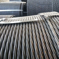 Fil d'acier galvanisé Fil d'acier plaqué de béton précontraint 12.7mm Précontrainte 49 brins en acier inoxydable