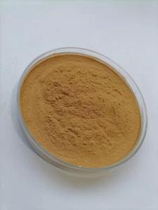 Поставка натурального высококачественного порошка экстракта калеи закатехичи оптом - Product Image 4