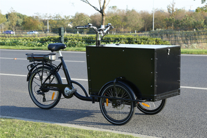 KUAKE Nouveau style 250W Vélo cargo <span class=keywords><strong>hollandais</strong></span> à chargement frontal à <span class=keywords><strong>3</strong></span> <span class=keywords><strong>roues</strong></span> pour usage familial, vélo cargo électrique pour la livraison - Product Image 2