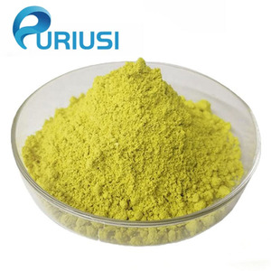 Quercetin cung cấp bán buôn tự nhiên Sophora Japonica chiết xuất hoa quercetin bột CAS 117 - Product Image 1