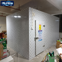 Solution de stockage frigorifique sur mesure, chambre froide pour les usines de transformation alimentaire et les centres de distribution logistique à grande échelle