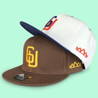 Casquettes Snapback de Sport Ajustées en Coton Classique à 6 Panneaux de Haute Qualité avec Logo Personnalisé pour Hommes