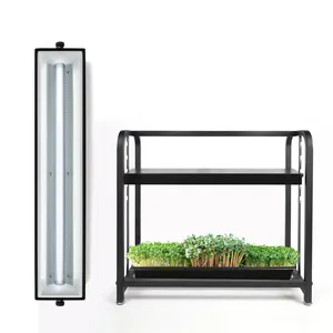 Fabricante Nuevo Diseño Superventas Escritorio Top LED Grow Light Stand Microgreen Bandejas Titular Minigarden Interior