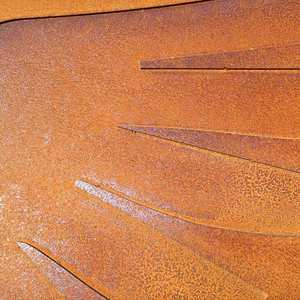 Chapa de Acero Corten para Jardín ASTM SPA H, Aleación con Acabado Oxidado Natural - Product Image 5