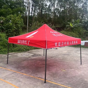 Xyd Oem Hot Sale Custom Reclame Voor Buiten 3X3 Luifel Tent - Product Image 4