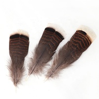Plumas de pavo baratas al por mayor plumas de cola de pavo naturales de 15-20cm para decoración de manualidades