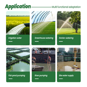 Tưới tiêu nông nghiệp xăng máy bơm nước Giá 1 2 3 inch Xăng <span class=keywords><strong>Robin</strong></span> Máy bơm nước - Product Image 6