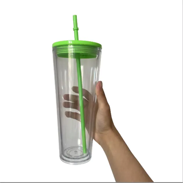 2022 INS 핫 세일 BPA 24oz Snowglobe 텀블러 플라스틱 커피 컵 뚜껑 짚 클리어 더블 벽 새로운 색상 디자인