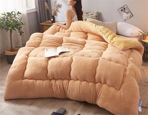 Nhà Máy Cung Cấp Trực Tiếp Dày Mùa Đông Chăn Cừu Của Len Lõi Đôi Mùa Xuân Ấm Áp Duy Nhất Sinh Viên Ký Túc Xá Comforter Bán Buôn - Product Image 3