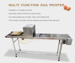 Impresora de inyección de tinta Huevos comerciales Fecha de caducidad Tinta comestible de colores Máquina de codificación de huevos de pollo Máquina de impresión de huevos - Product Image 3