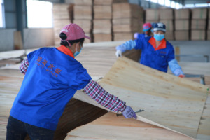 Sản phẩm bán chạy linh sam sồi melamine phải đối mặt với Bảng khối 1220mm * 2440mm ván gỗ/ván ép 18mm - Product Image 6