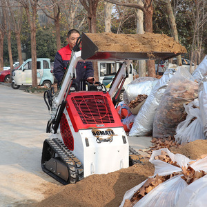 Front Loader Mini Skid Steer Loader Gasoline Powered Engine Motor EPA EURO5 PLC Gearbox Pump Bearing Crawler High Load Moment - Product Image 2