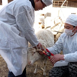 Applicateur d'étiquette des empreintes pour animaux sur animaux, pince à fixer, outil d'installation, perforateur, perche, pour cochon, mouton, chèvre, vache - Product Image 6