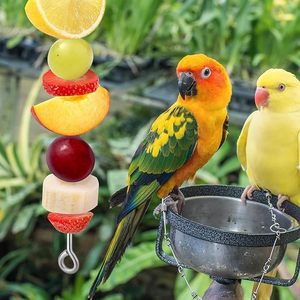 Eco-Friendly Hanging Stainless Steel <strong>Bird</strong> Parrot Forager Skewer <strong>Food</strong> Holder Toy Fork for Feeding Corn Apple <strong>Fruit</strong> <strong>Bird</strong> Supplies - Product Image 4