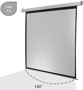 Màn Chiếu Điện 120 Inch Màn Chiếu Động Cơ 16:9