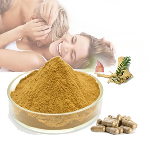 Tongkat Ali Extract  Tongkat Ali Extract