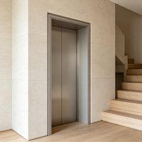 Ascenseur domestique moderne à entraînement sans engrenages avec construction en acier inoxydable pour usage résidentiel dans les bâtiments historiques