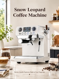 Machine à café expresso semi-automatique ITOP Snow Leopard de haute qualité pour la maison, prix de gros d'usine - Product Image 6