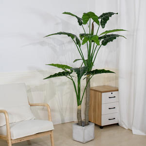 Vente chaude Artificielle Feuille D'<span class=keywords><strong>arum</strong></span> Plante Simulation Plante Verte <span class=keywords><strong>Arum</strong></span> <span class=keywords><strong>En</strong></span> <span class=keywords><strong>Pot</strong></span> Bureau Intérieur Extérieur Décoration Plante - Product Image 4